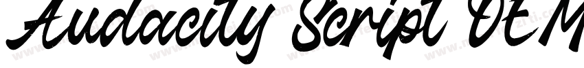 Audacity Script DEMO字体转换